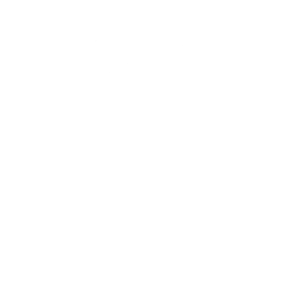 The Magic Store